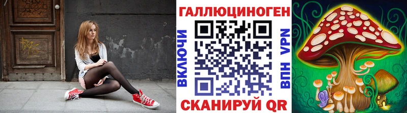 Псилоцибиновые грибы MAGIC MUSHROOMS  магазин продажи   Бикин 